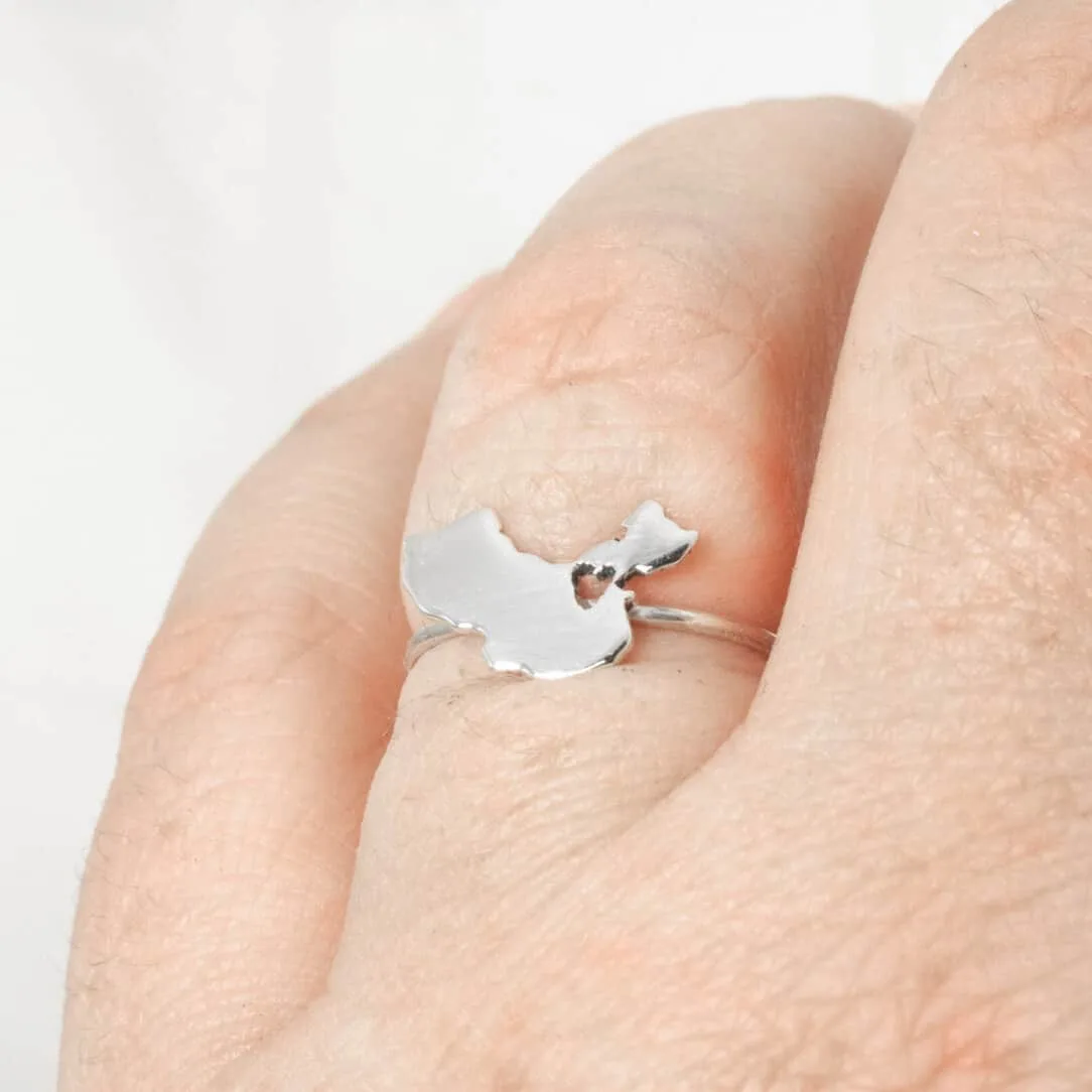Detalle Del Anillo De Porcelana