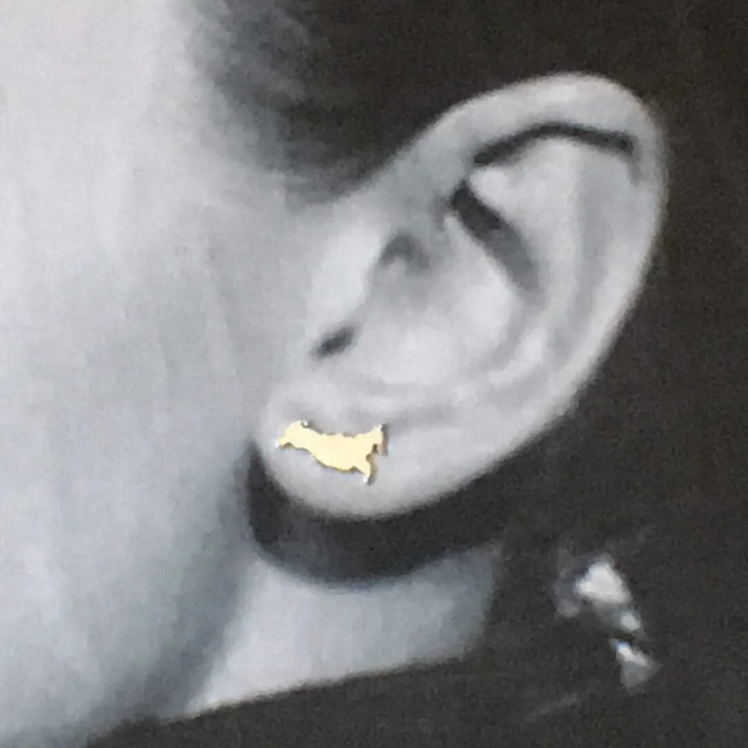 Russia Map Earrings