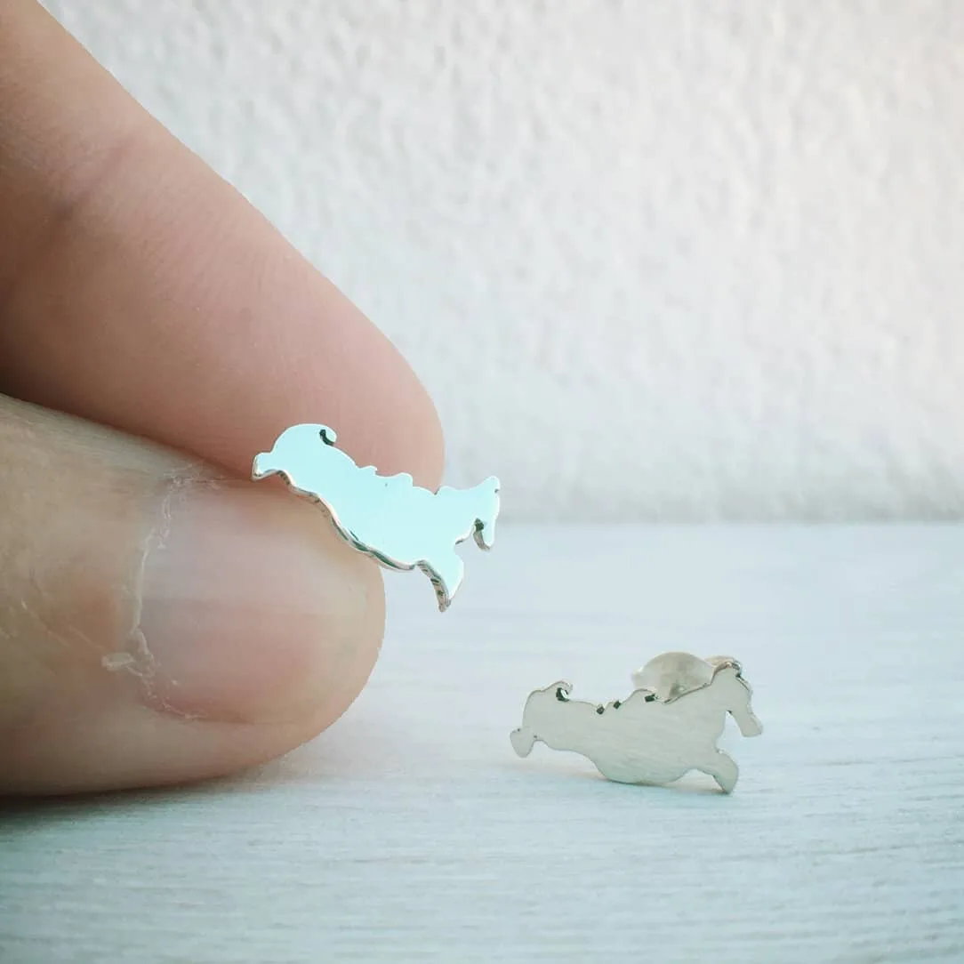 Russia Map Earrings