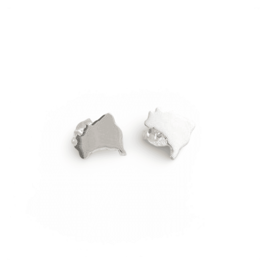 brazil earrings arracades brasil pendientes