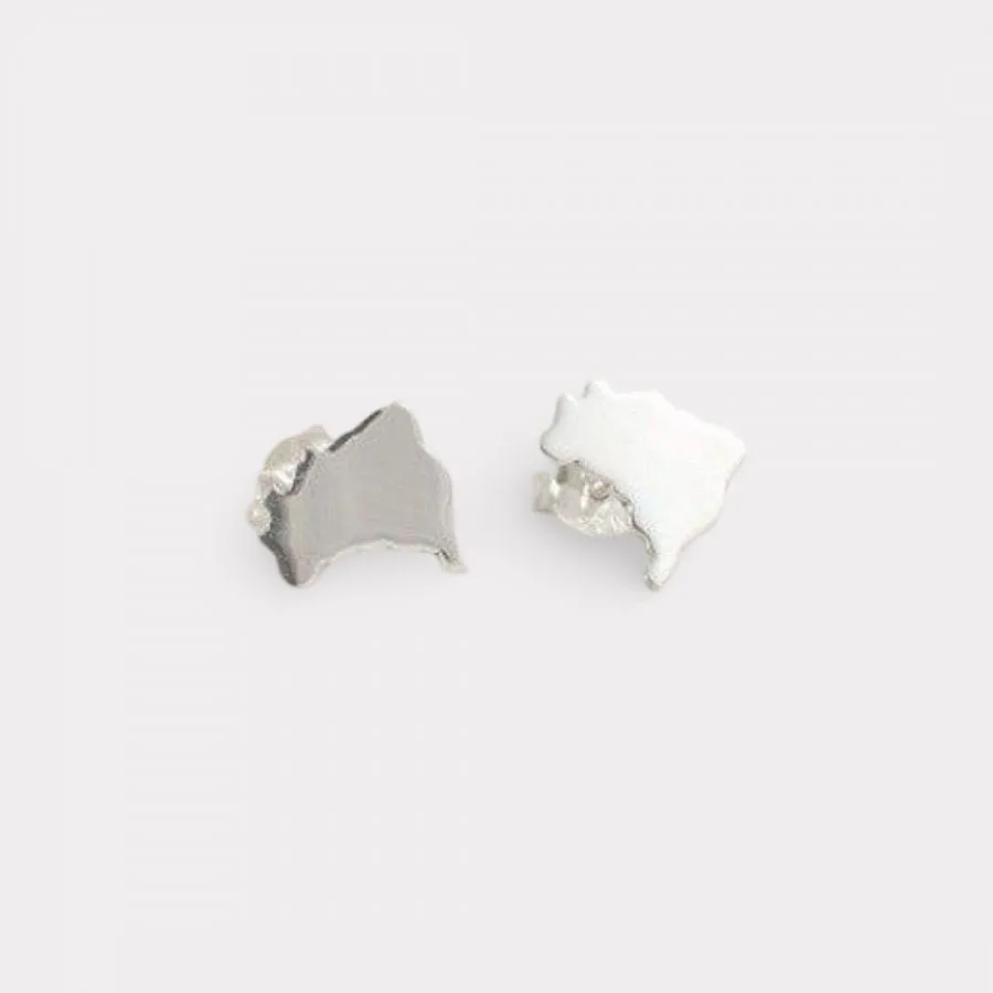 Brazil Earrings