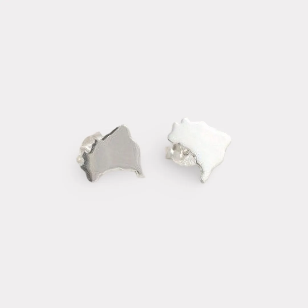 Brazil Earrings