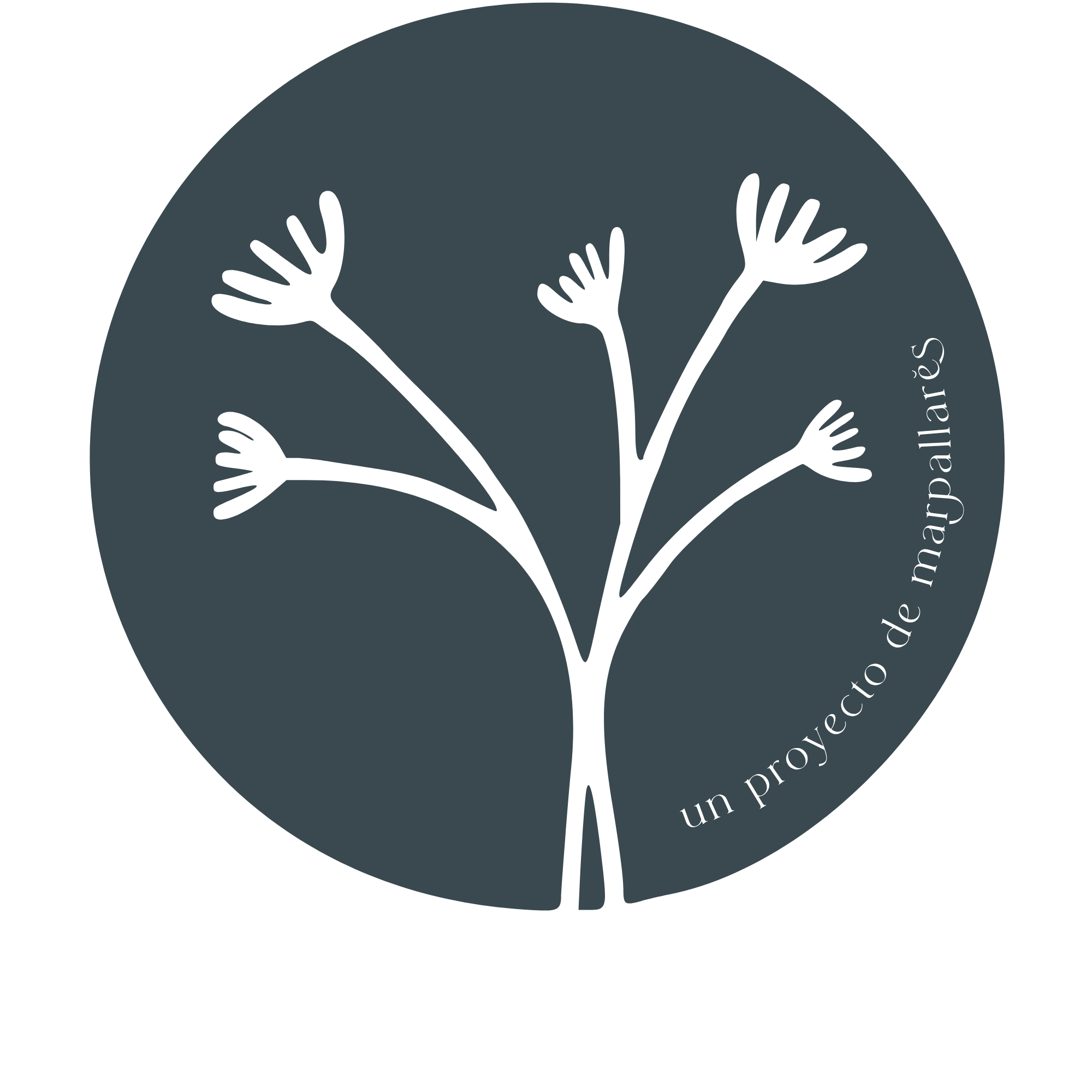 un proyecto de Mar Pallarès